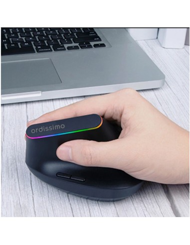 Souris ergonomique sans-fil Ordissimo